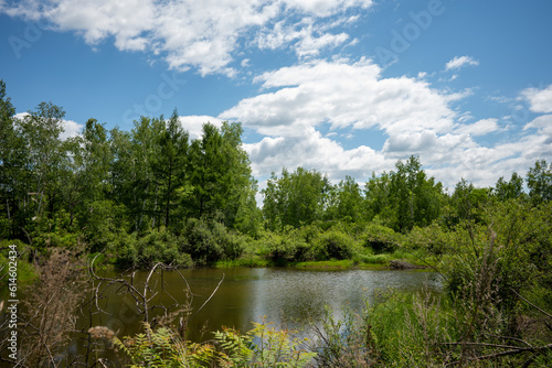 Lake  reflection of greenery. Forest lake. A beautiful colorful summer natural landscape with a lake surrounded by green foliage of trees in the sunlight in the foreground.