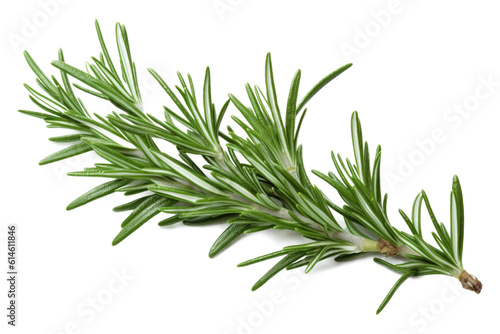 Rosemary Isolated on Transparent Background - Generative AI  © RenZen