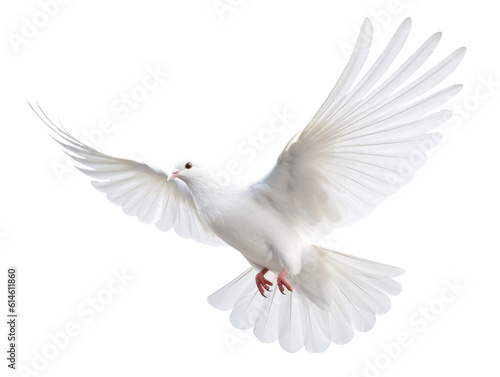 Dove Flying Isolated on Transparent Background - Generative AI  © RenZen