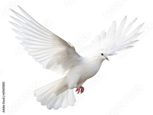 Flying Dove Isolated on Transparent Background - Generative AI
