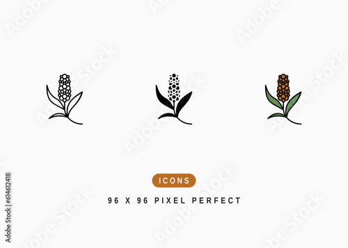 Pearl Millet Icon. Pennisetum Americanum Symbol Stock Illustration. Vector Line Icons For UI Web Design And Presentation
