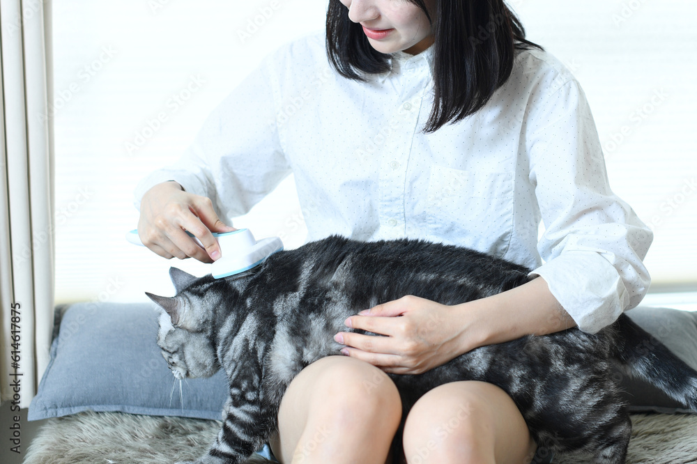 屋内で猫をブラッシングするアジア人の女性
屋内で猫をブラッシングするアジア人の女性