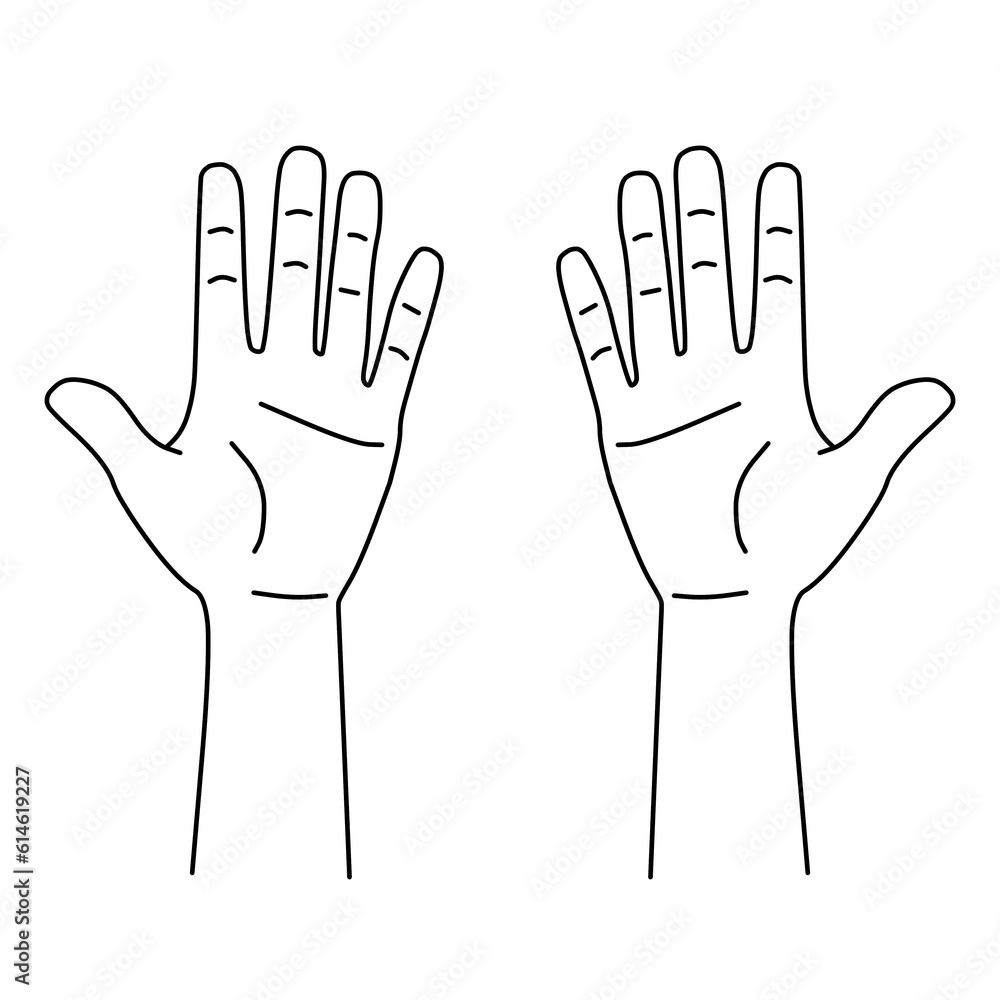 Obraz premium 手のひら両手のイラスト線画｜カルテなどの診療記録に使える