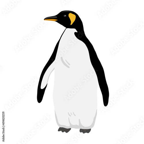 King Penguin. Flat vector illustration. Polar animal