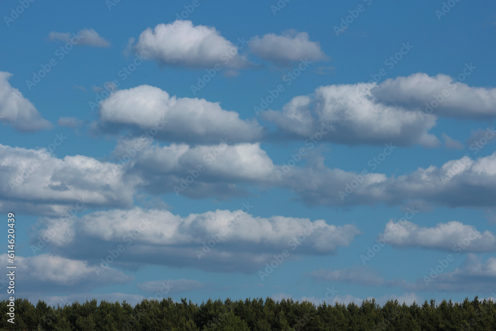 Sky with clouds over the forest. Natural background. Sky with clouds over the forest. Natural background.
