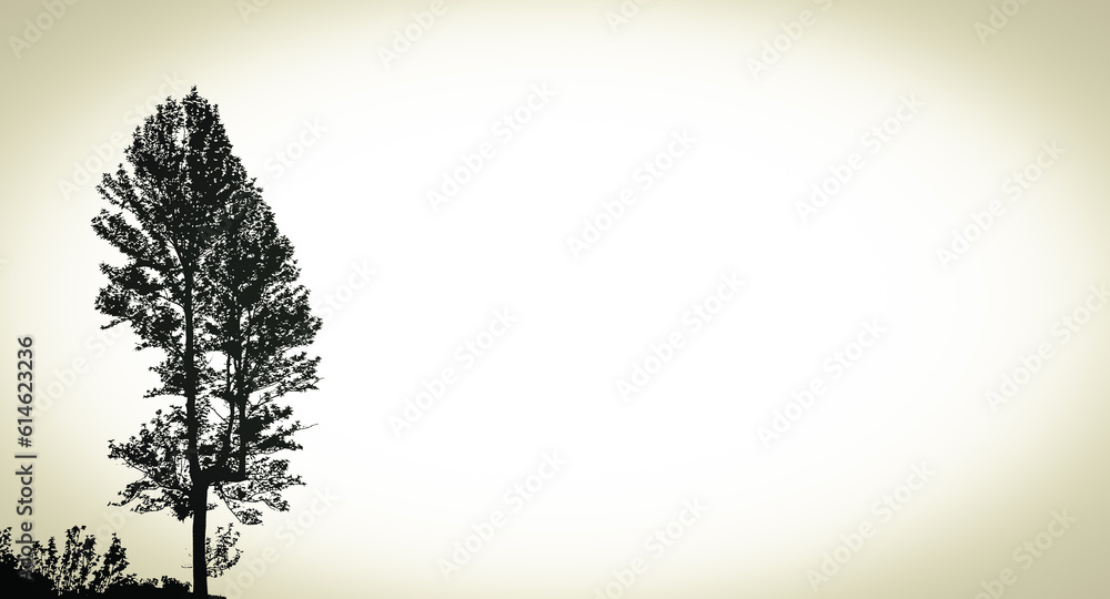 Fototapeta premium Background image for place texts images for any suitable concept.