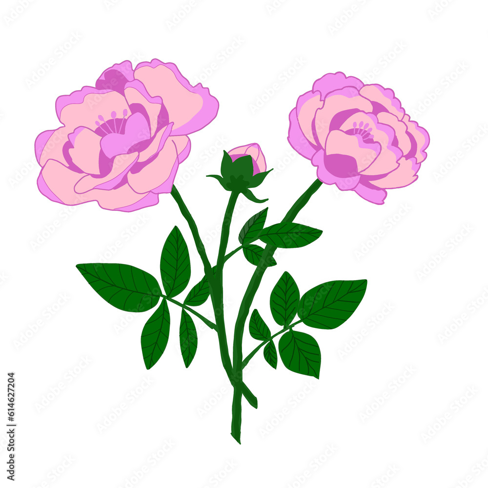 beautiful flowears beautiful flowears