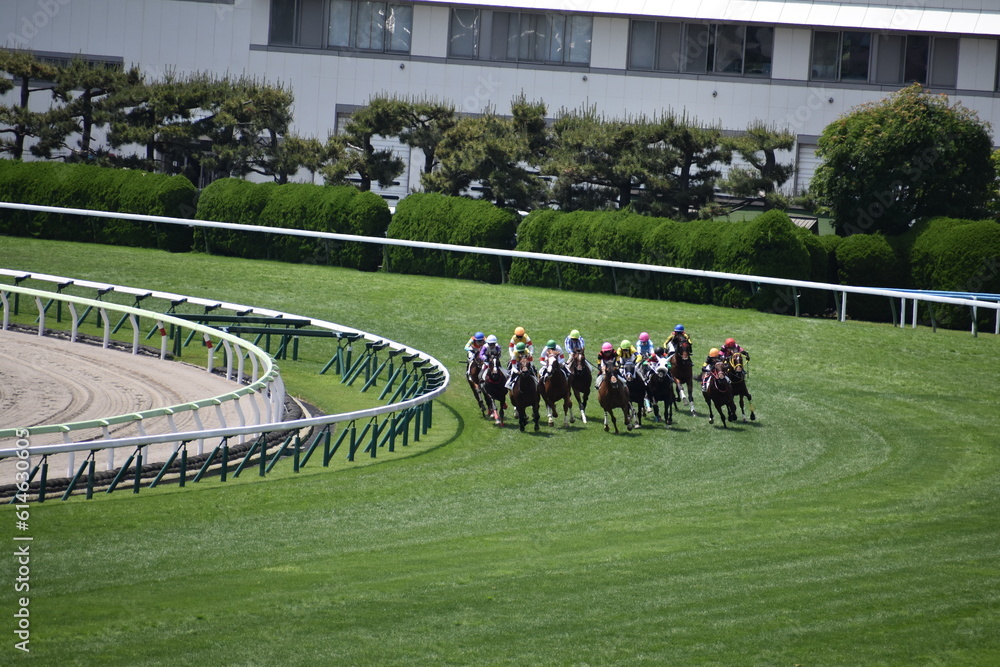 Foto 函館競馬場