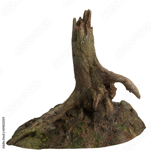 3d illustration of dry tree stump isolated on transparent background