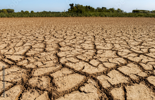 Severe drought - Dry field