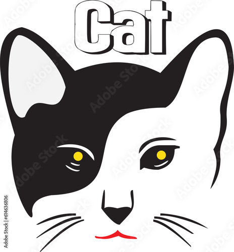 Gatto