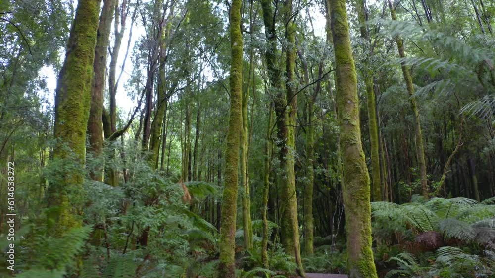 Tasmania tourism. Travel destination Franklin-Gordon wild rivers national park Tasmania tourism. Travel destination Franklin-Gordon wild rivers national park