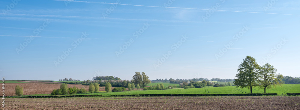spring landscape of south limburg near margraten with flowers and blossoms spring landscape of south limburg near margraten with flowers and blossoms