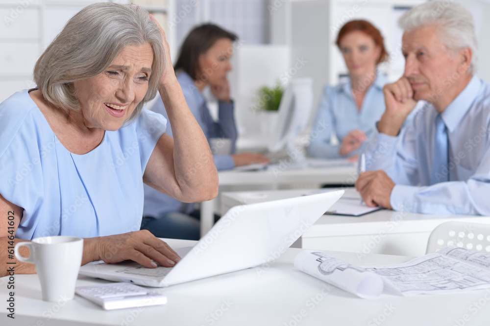 Fototapeta premium senior business woman working in light office