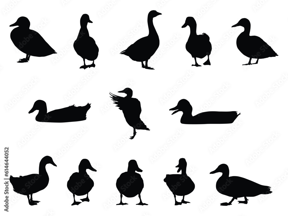 set of black duck silhouettes vector illustration