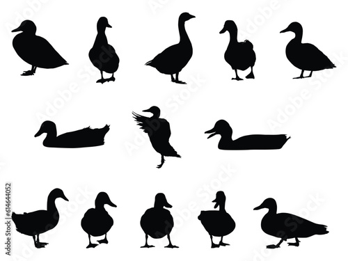 Obraz na płótnie set of black duck silhouettes vector illustration w salonie