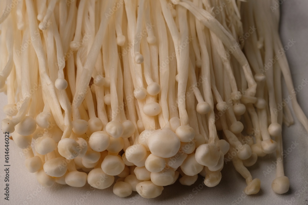 Flammulina filiformis is a species of agaric in the family Physalacriaceae. Enokitake mushroom. Jamur enoki. Closeup of white mushroom. Flammulina filiformis is a species of agaric in the family Physalacriaceae. Enokitake mushroom. Jamur enoki. Closeup of white mushroom.