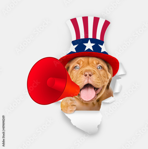Happy Mastiff puppy wearing like Uncle Sam looking through a hole in paper and shouts into megaphone © Ermolaev Alexandr