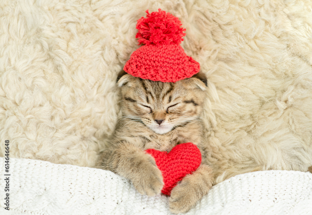 Cute fold tabby kitten wearing warm hat covered warm plaid hugs red heart on the bed at home. Valentines day concept. Top down view
