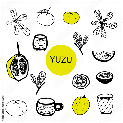 Vector set of doodle yuzu fruit elements.