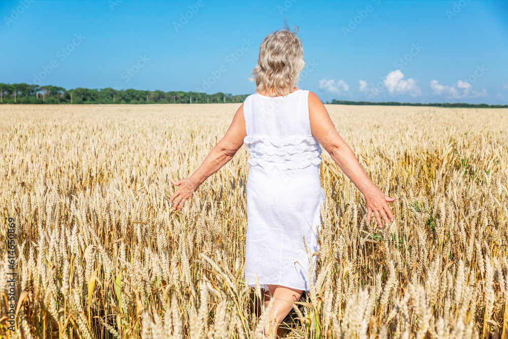 An elderly woman in a white dress walks in a wheat field on a bright sunny day. Cultivation of grain crops and bread. Back view. An elderly woman in a white dress walks in a wheat field on a bright sunny day. Cultivation of grain crops and bread. Back view.