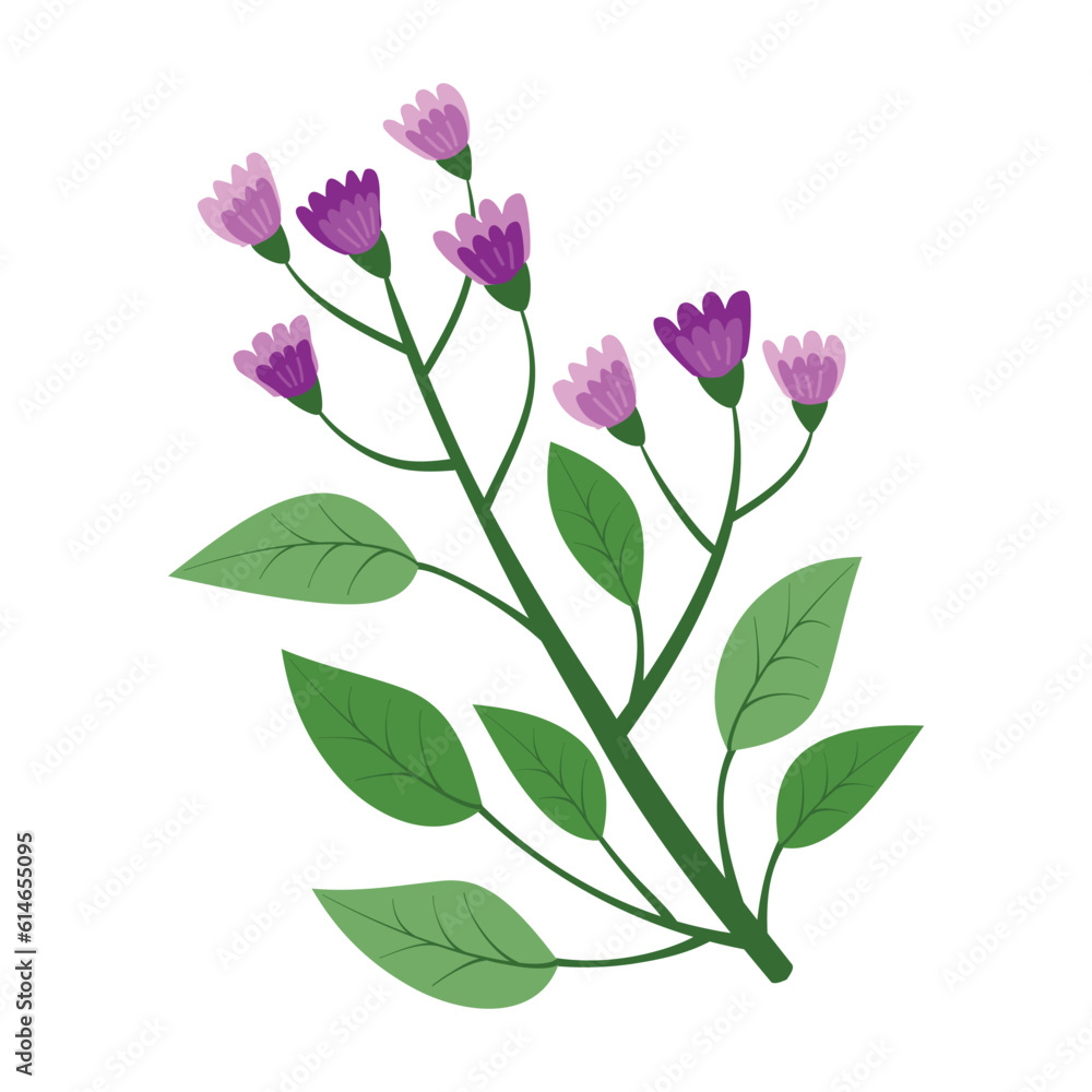 Fototapeta premium Purple and pink flowers floral branch, twig. Beautiful delicate fluffy blooms, blossomed herb, gentle wildflower.