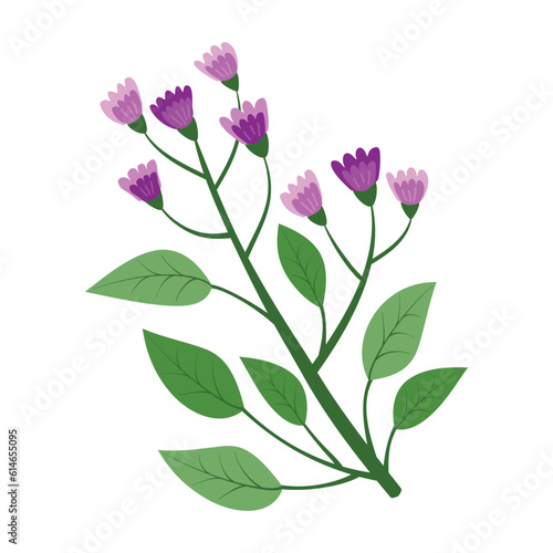 Purple and pink flowers floral branch  twig. Beautiful delicate fluffy blooms  blossomed herb  gentle wildflower.