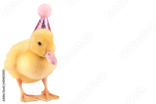 Fotografie Cute duckling in birthday hat isolated on transparent background, copy space