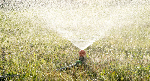 Wallpaper Mural watering the lawn in sunlight Torontodigital.ca