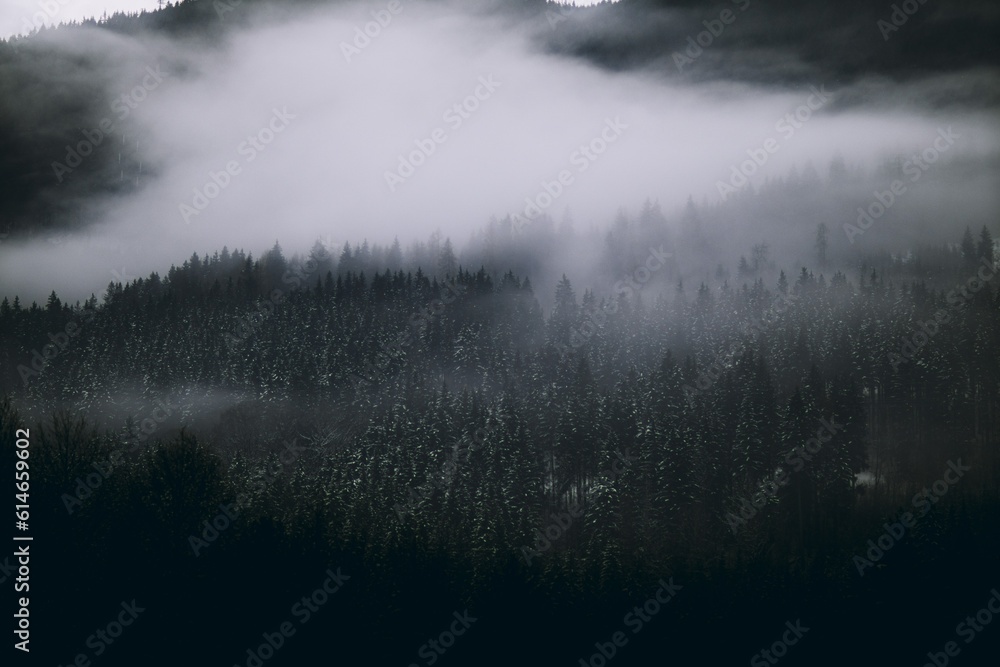 fog in the mountains