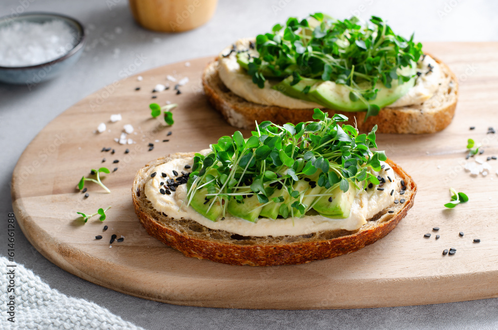 Avocado Hummus Toast with Sprouts, Healthy Snack, Breakfast, Vegetarian Meal Avocado Hummus Toast with Sprouts, Healthy Snack, Breakfast, Vegetarian Meal