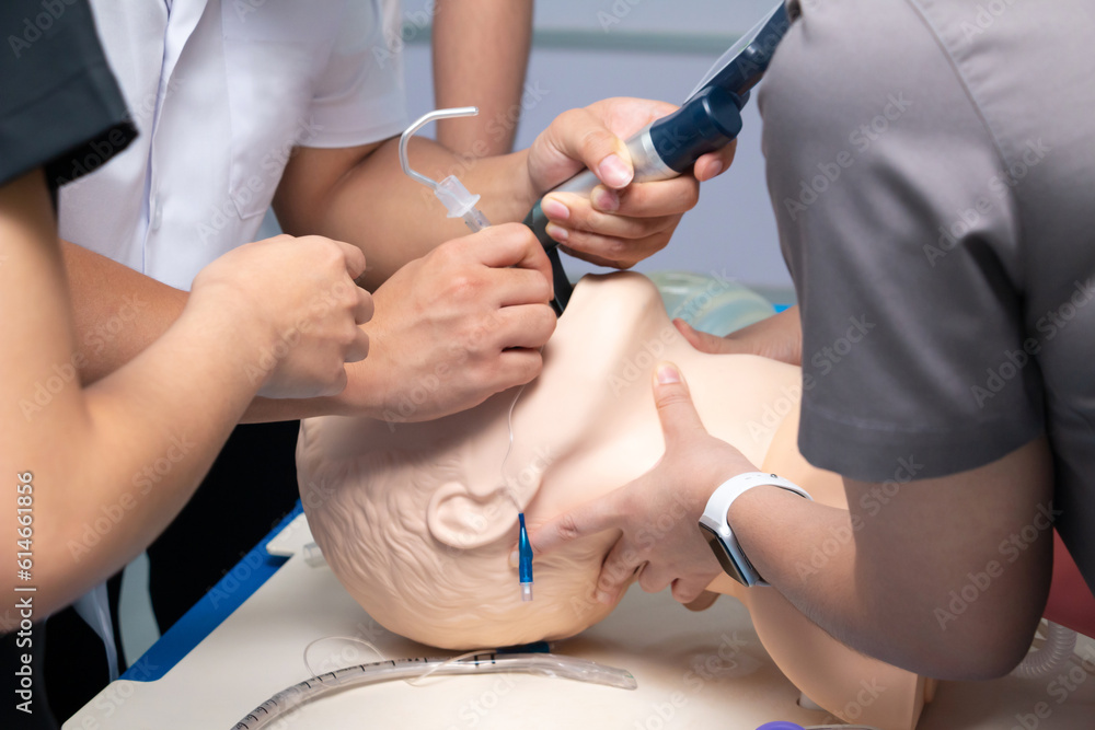 Fototapeta premium Anesthesiologist performing an orotracheal intubation on a simulation. mannequin dummy during medical training to control of the airway,Medical manipulation.