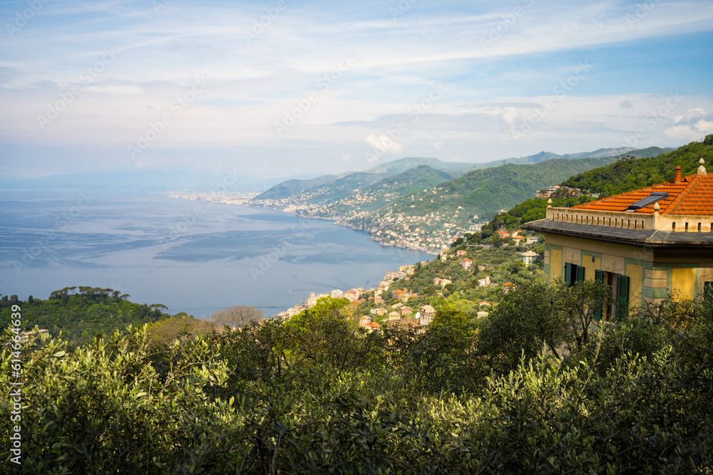 view of the region sea from the mountain, Mediterranean Sea, Camogli