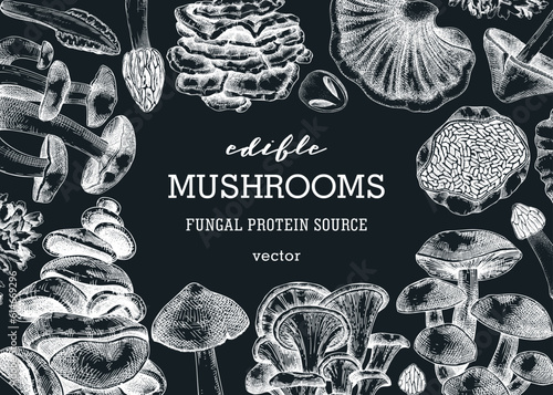 Mushrooms banner on chalkboard. Artistic autumn forest plant frame. Fall background with edible fungi sketches. Hand drawn healthy food, fungal protein, stalks, and caps in vintage style