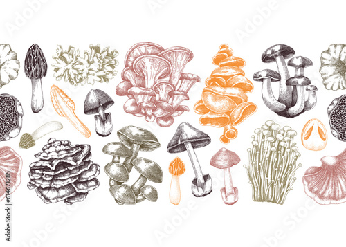 Mushrooms seamless pattern. Artistic autumn forest plant border. Fall background with edible fungi sketches. Hand drawn healthy food, fungal protein vector illustration. Repeating design for print
