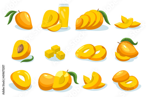 Mango collection. Cartoon whole ripe fruit tropical sweet pieces, organic mango diet healthy nutrition, vegetarian healthy food concept. Vector isolated set