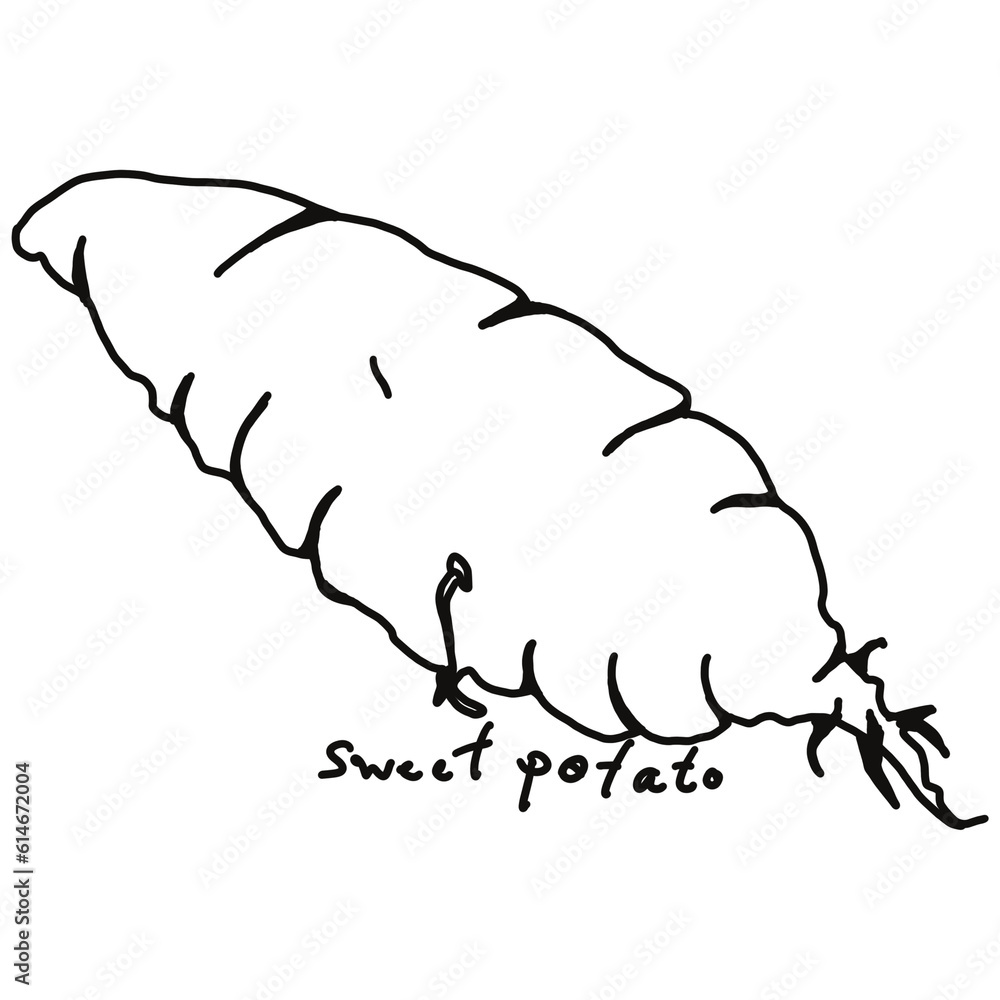 Obraz premium Sweet Potato doodle drawing, line draw of fruit and food