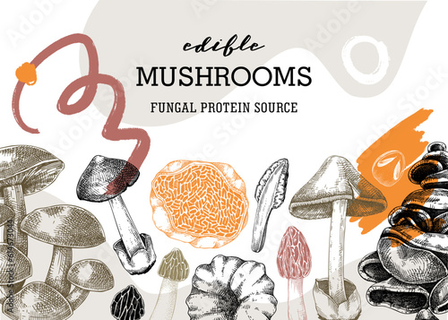Mushrooms banner in collage style. Artistic autumn forest plant border. Fall background with edible fungi sketches and abstract shapes. Hand drawn healthy food, fungal protein vector illustration