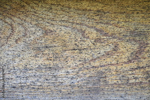 texture of the stone