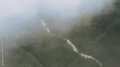 Aerial Glimpse of a Hazy River Cutting through the Eerily Beautiful Burned Forest photo