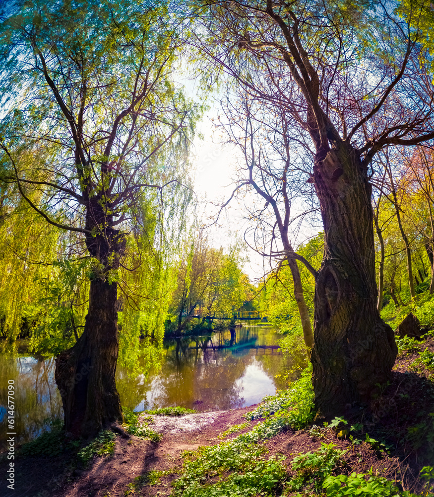 Adorable spring view of the shore of Strypa river. Fresh green scene of Topilche park in  Ternopil city, Ukraine, Europe. Beauty of nature concept background.