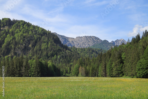 View from Bayrischzell to mountain  Rotwand  in Mangfall Mountains  Bavaria - Germany