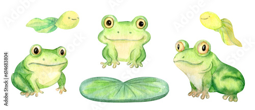 Hand Drawn Watercolor Cute Cartoon Frogs Set