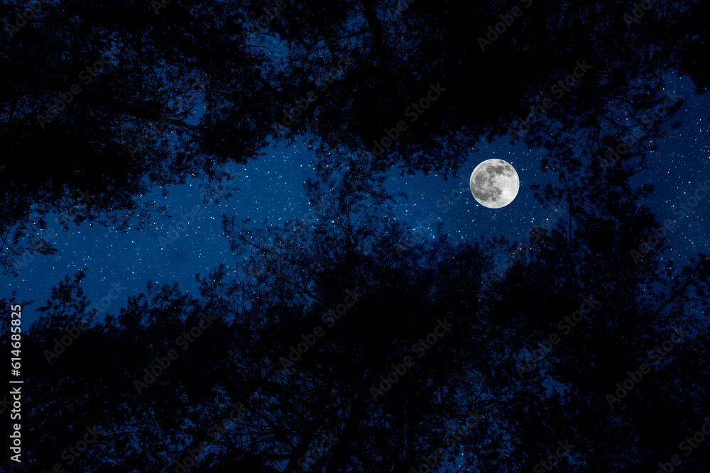 Beautiful night sky, the Milky Way and the trees. Elements of this image furnished by NASA. Beautiful night sky, the Milky Way and the trees. Elements of this image furnished by NASA.