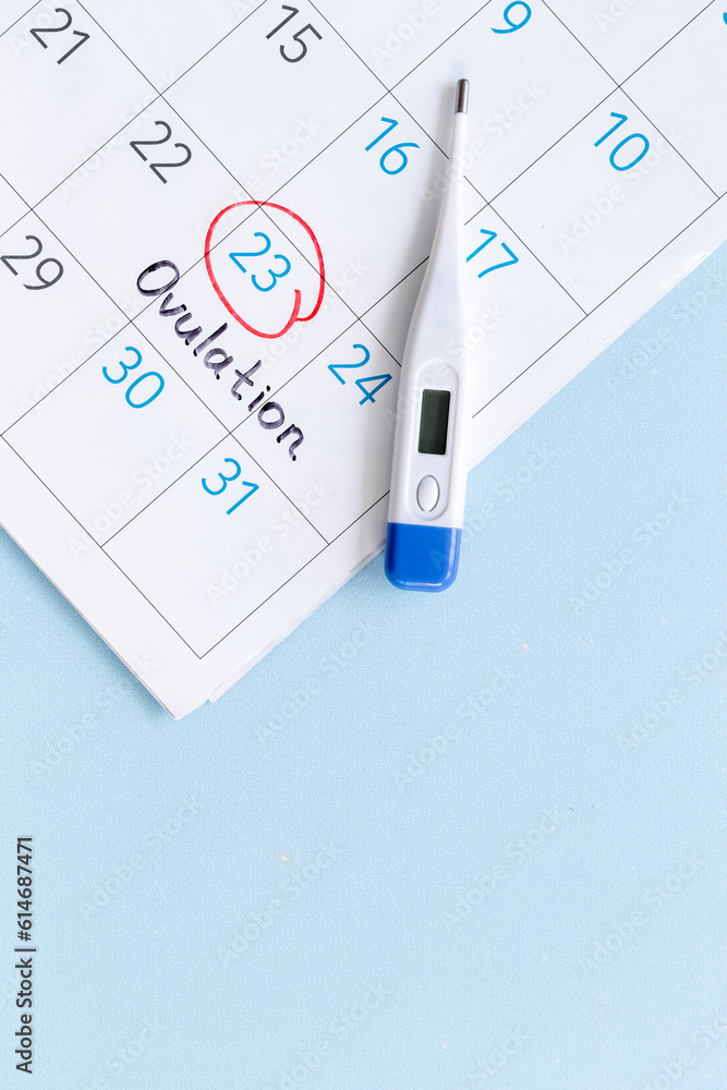 Female period calendar with word Ovulation and thermometer. Pregnancy planning background Female period calendar with word Ovulation and thermometer. Pregnancy planning background