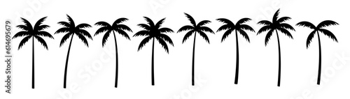 Palm tree vector silhouette coconut icon. Tropic palm tree miami black summer isolated design background.