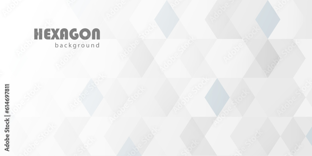 Fototapeta premium Abstract background with hexagon element. Vector illustration