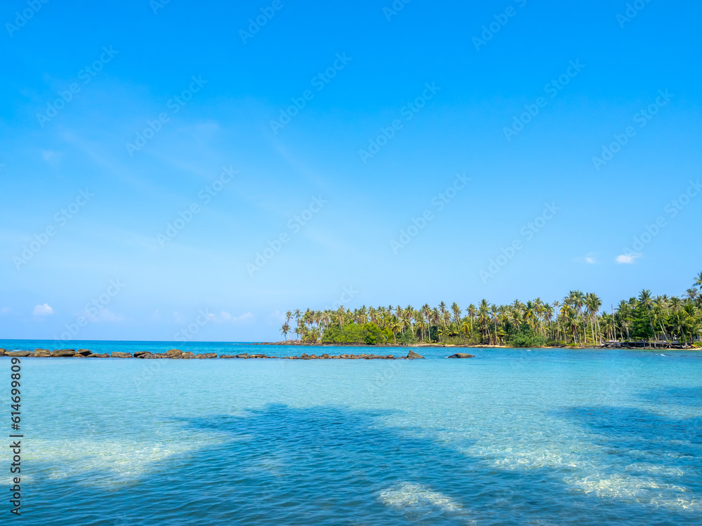 Bright seascape background on sunny day. Summer background with tropical palm tree, rocks, island, clear water sea and open blue sky on sunny day, summertimes scene, holiday vacation poster concepts.