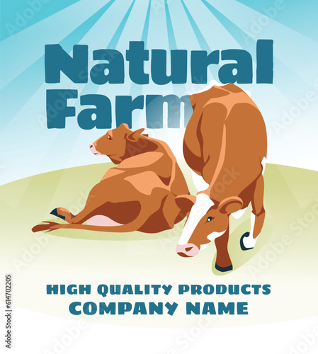 an advertisement for dairy natural agricultural products with two cows on a large text background. Vector flat illustration.