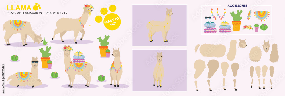 Beige Llama Alpaca cartoon character ready to rig for animation. Collection, set multiple poses, cute animal vector with accessories. Farm animals rig ready